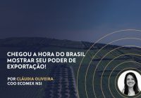 Chegou a hora do Brasil mostrar seu poder de exportação!