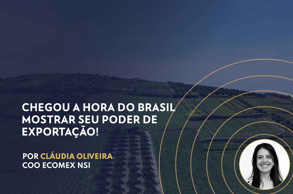 Chegou a hora do Brasil mostrar seu poder de exportação!