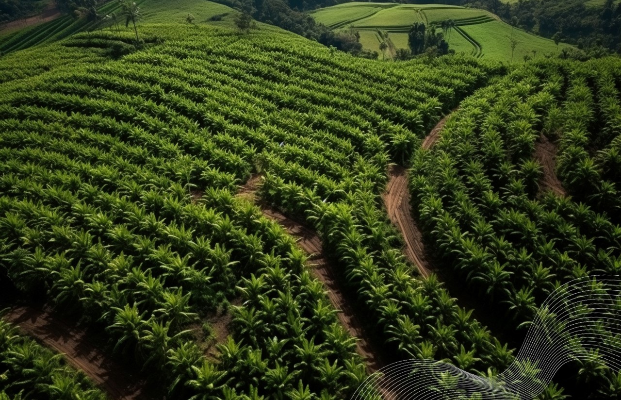 Exportação brasileira de frutas registra recorde no primeiro semestre; veja números
